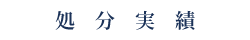 処　分　実　績
